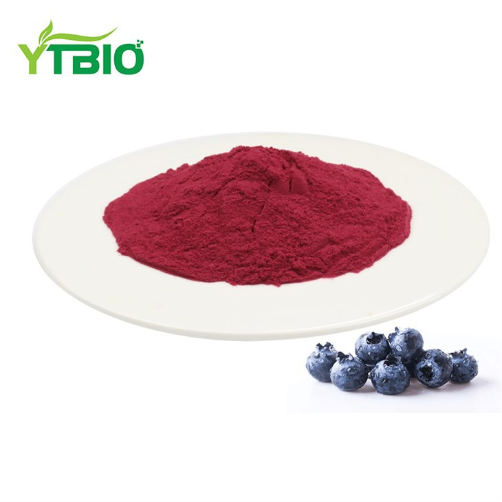 Bulk Blueberry Fruit Powder